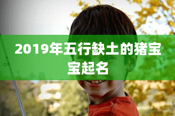 2019年五行缺土的猪宝宝起名