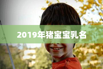 2019年猪宝宝乳名