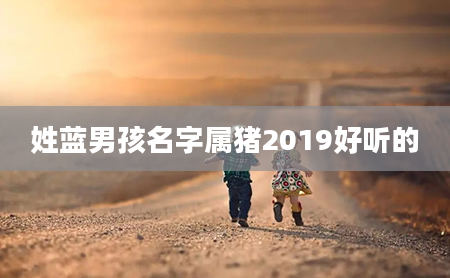 姓蓝男孩名字属猪2019好听的