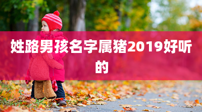 姓路男孩名字属猪2019好听的