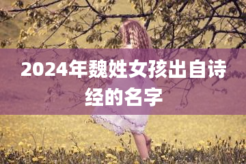 2024年魏姓女孩出自诗经的名字