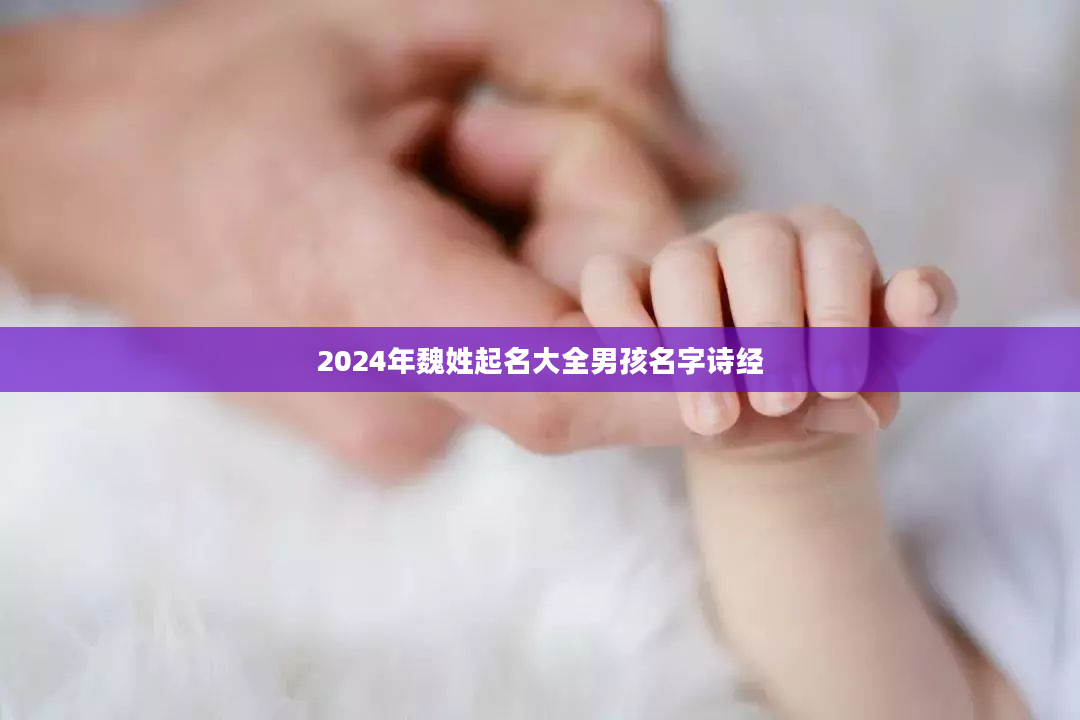 2024年魏姓起名大全男孩名字诗经