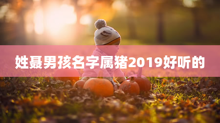 姓聂男孩名字属猪2019好听的