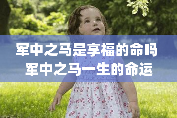 军中之马是享福的命吗 军中之马一生的命运