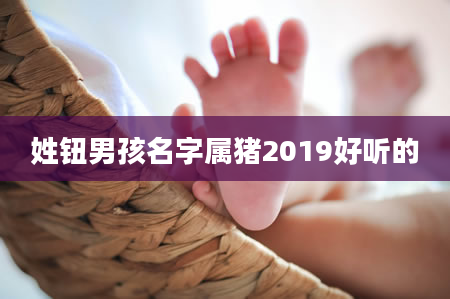 姓钮男孩名字属猪2019好听的