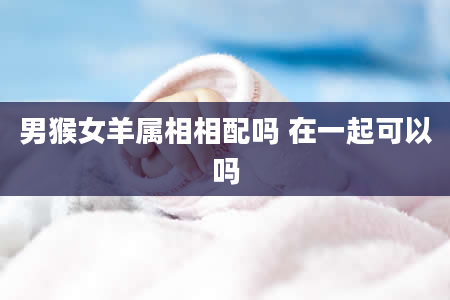 男猴女羊属相相配吗 在一起可以吗