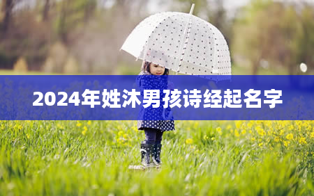 2024年姓沐男孩诗经起名字