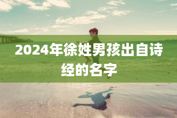 2024年徐姓男孩出自诗经的名字