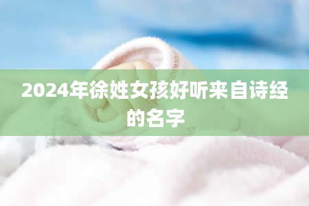 2024年徐姓女孩好听来自诗经的名字