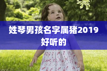 姓琴男孩名字属猪2019好听的