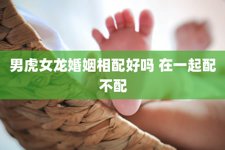 男虎女龙婚姻相配好吗 在一起配不配