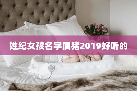 姓纪女孩名字属猪2019好听的