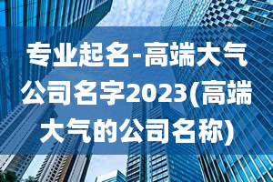 专业起名-高端大气公司名字2023(高端大气的公司名称)