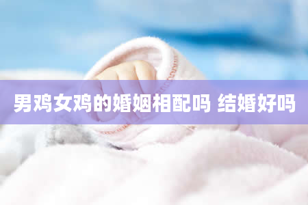 男鸡女鸡的婚姻相配吗 结婚好吗