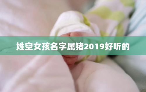 姓空女孩名字属猪2019好听的