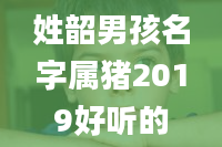 姓韶男孩名字属猪2019好听的