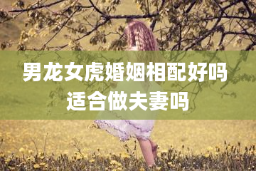 男龙女虎婚姻相配好吗 适合做夫妻吗