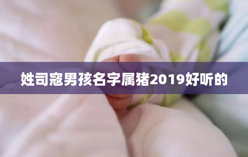 姓司寇男孩名字属猪2019好听的