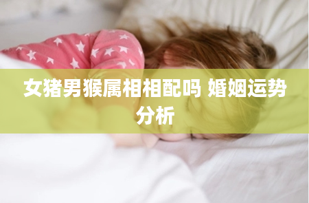 女猪男猴属相相配吗 婚姻运势分析