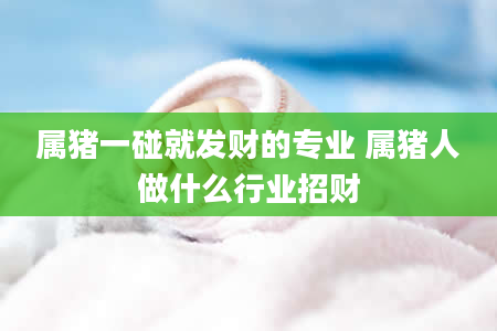 属猪一碰就发财的专业 属猪人做什么行业招财